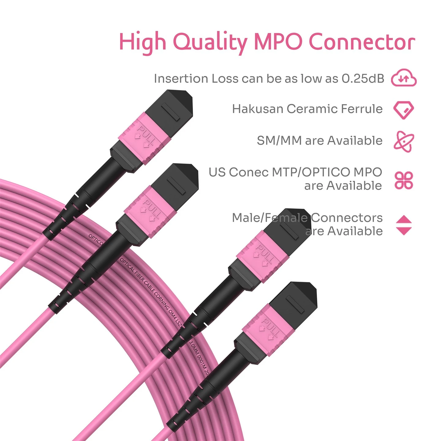 24F MPO Trunk Cable OM4 Male 2×12 24F MPO Trunk Cable OM4 Male 2×12